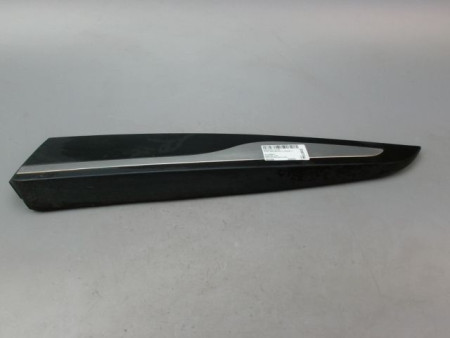 PROTECTION PORTE ARRIERE GAUCHE RENAULT CLIO IV Phase 1 2012-...