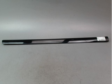 PROTECTION PORTE AVANT GAUCHE VOLKSWAGEN POLO IV Phase 2 (9N) 2005-2009