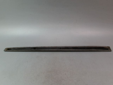 PROTECTION PORTE AVANT GAUCHE VOLKSWAGEN POLO IV Phase 2 (9N) 2005-2009