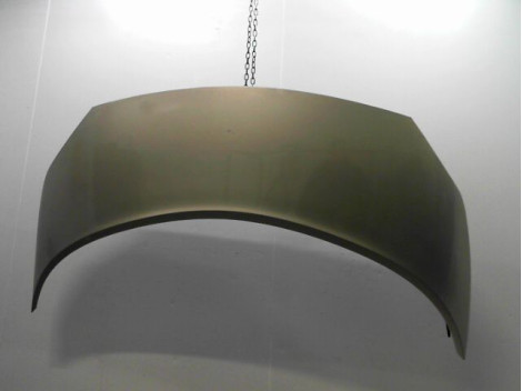 CAPOT RENAULT SCENIC MONOSP. II Phase 2 2006-2009