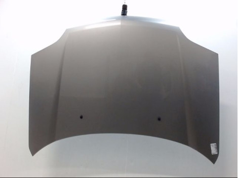 CAPOT NISSAN X-TRAIL BREAK I Phase 1 2001-2003