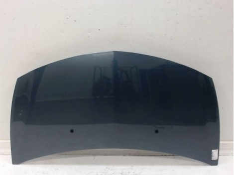 CAPOT RENAULT CLIO III Phase 1 2005-2009