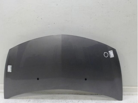 CAPOT RENAULT CLIO III Phase 2 2009-2014