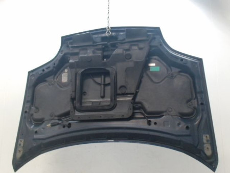 CAPOT NISSAN X-TRAIL BREAK I Phase 1 2001-2003