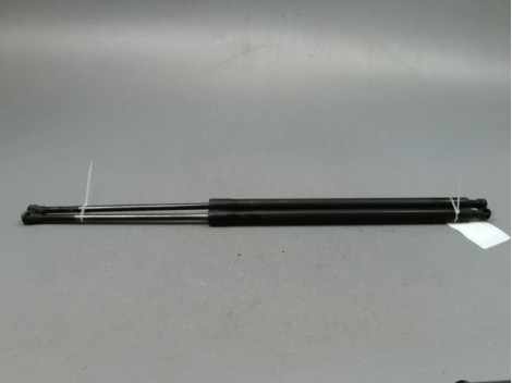 VERIN HAYON G RENAULT GRAND SCENIC MONOSP. III Phase 1 LONG 2009-2011