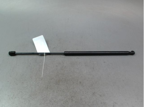 VERIN HAYON G RENAULT MEGANE SCENIC MONOSP. I Phase 2 1999-2003