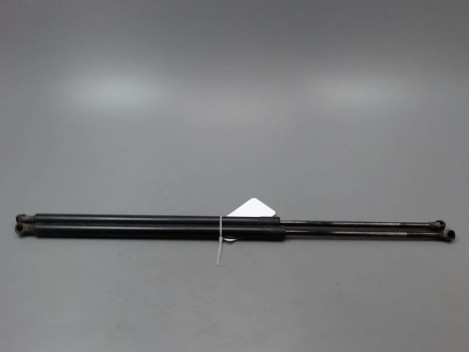 VERIN HAYON G RENAULT GRAND SCENIC MONOSP. III Phase 1 LONG 2009-2011