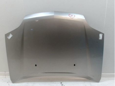 CAPOT NISSAN X-TRAIL BREAK I Phase 1 2001-2003