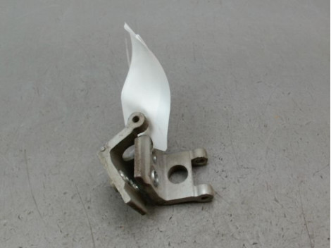 CHARNIÈRE PORTE AVD PEUGEOT 206 + 2009-2013