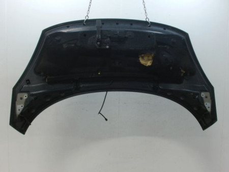 CAPOT RENAULT SCENIC MONOSP. III Phase 1 2009-2011