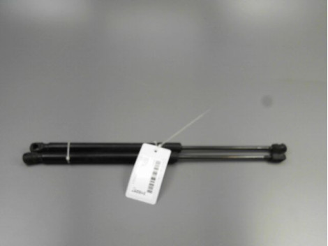 VERIN HAYON G RENAULT CLIO ESTATE III Phase 2 2009-2012