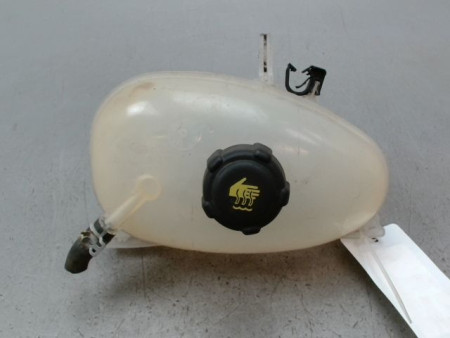 VASE EXPANSION RENAULT TWINGO
