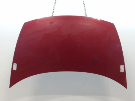 CAPOT CITROEN C3 I Phase 1 2002-2005