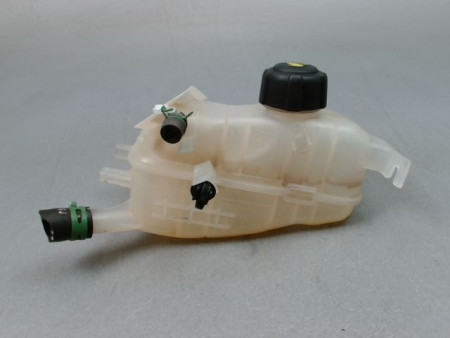 VASE EXPANSION RENAULT SCENIC MONOSP. III Phase 2 2011-2013