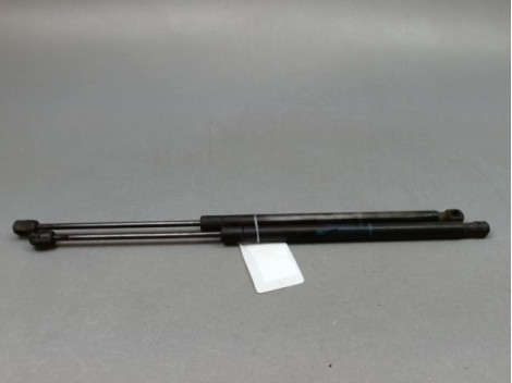VERIN HAYON G RENAULT SCENIC MONOSP. II Phase 2 2006-2009