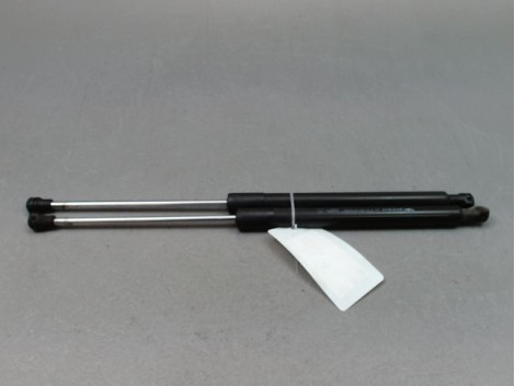 VERIN HAYON G RENAULT CLIO III Phase 2 2009-2014