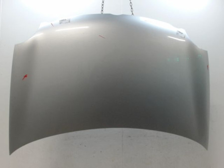 CAPOT VOLKSWAGEN POLO IV Phase 1 (9N) 2002-2005