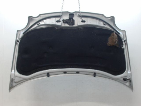 CAPOT VOLKSWAGEN POLO IV Phase 1 (9N) 2002-2005
