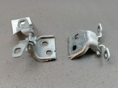 CHARNIÈRE PORTE AVG DACIA SANDERO 2008-