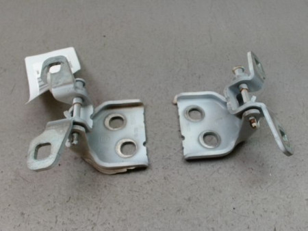 CHARNIÈRE PORTE AVG DACIA SANDERO 2008-