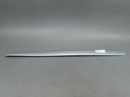 PROTECTION PORTE AVANT GAUCHE CITROEN C4 PICASSO MONOSP. I 2007-2013