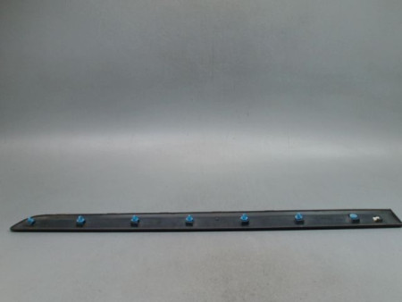 PROTECTION PORTE AVANT GAUCHE RENAULT KANGOO EXPRESS II Phase 2 2013-...
