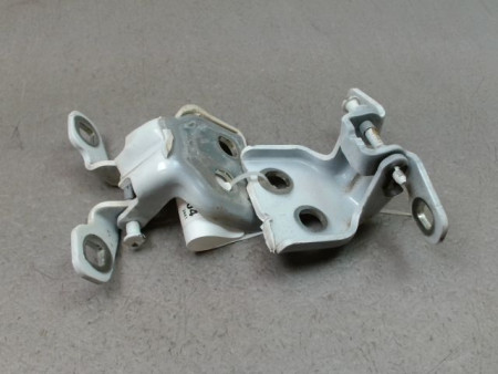 CHARNIÈRE PORTE ARG DACIA DUSTER 2010-