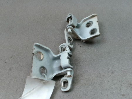 CHARNIÈRE PORTE AVG DACIA DUSTER 2010-