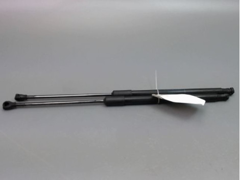 VERIN HAYON G RENAULT CLIO
