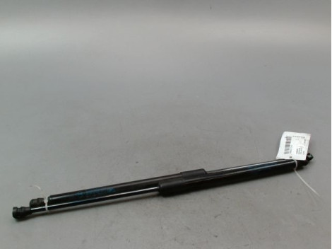 VERIN HAYON G RENAULT CLIO