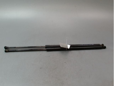 VERIN HAYON G RENAULT GRAND SCENIC MONOSP. III Phase 2 LONG 2011-2013