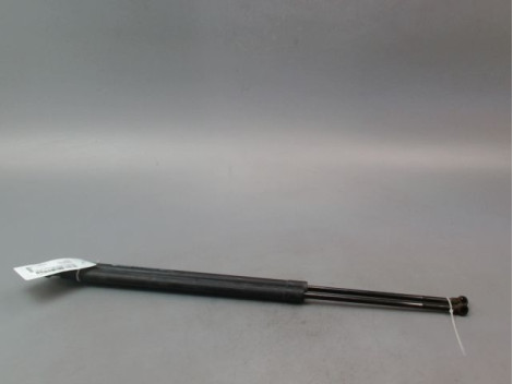 VERIN HAYON G RENAULT GRAND SCENIC MONOSP. III Phase 2 LONG 2011-2013
