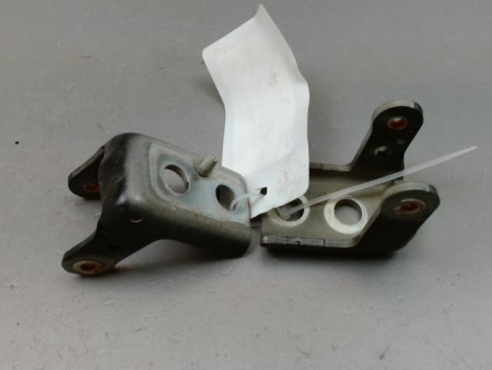 CHARNIÈRE PORTE AVD PEUGEOT 208 Phase 1 2012-...