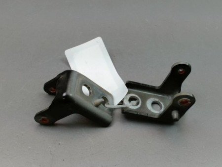 CHARNIÈRE PORTE AVG PEUGEOT 208 Phase 1 2012-...