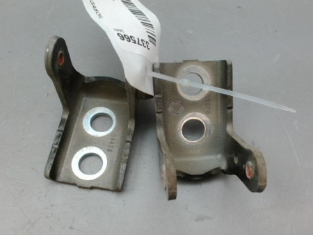 CHARNIÈRE PORTE AVG PEUGEOT 308 2011-