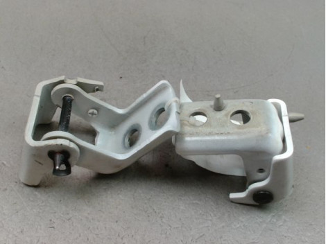 CHARNIÈRE PORTE AVG PEUGEOT 208 2012-...