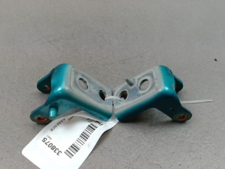 CHARNIÈRE PORTE ARG CITROEN C3 2009-