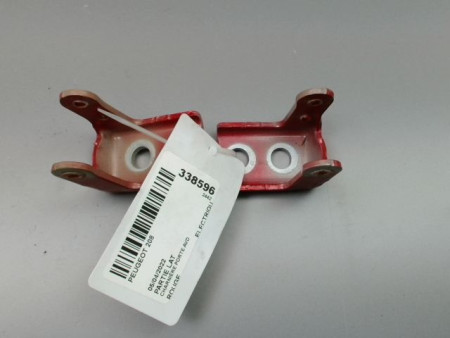 CHARNIÈRE PORTE AVD PEUGEOT 208