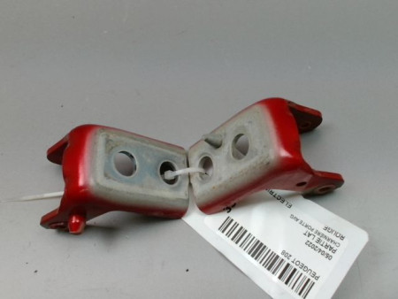 CHARNIÈRE PORTE AVG PEUGEOT 208