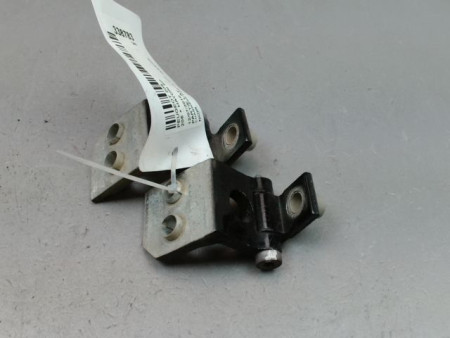 CHARNIÈRE PORTE AVD PEUGEOT 206 + 2009-2013