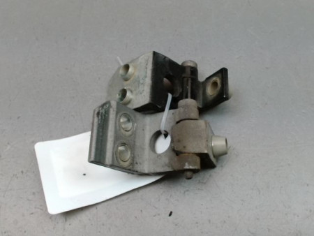 CHARNIÈRE PORTE AVG PEUGEOT 206 + 2009-2013