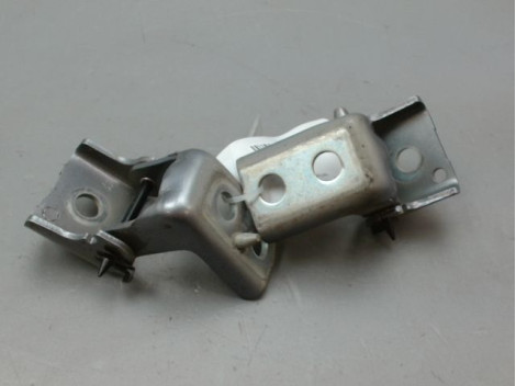 CHARNIÈRE PORTE ARG PEUGEOT 308 2011-