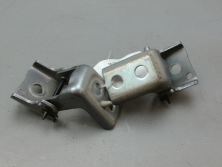 CHARNIÈRE PORTE ARG PEUGEOT 308 2011-