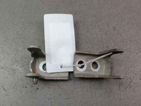 CHARNIÈRE PORTE AVD PEUGEOT 308 2011-