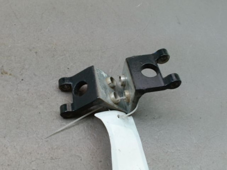 CHARNIÈRE PORTE AVD PEUGEOT 206 + 2009-2013