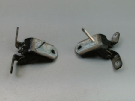 CHARNIÈRE PORTE AVD FORD FIESTA VI Phase 1 2008-2012