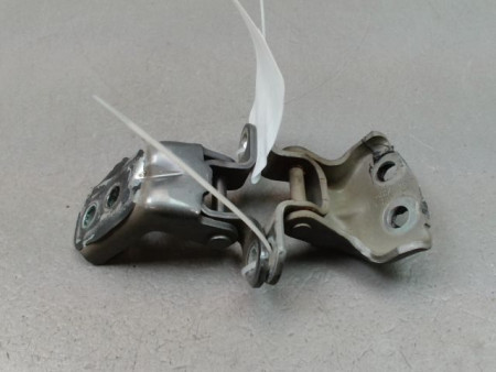 CHARNIÈRE PORTE AVG NISSAN QASHQAI +2 I Phase 2 LONG 2010-2014