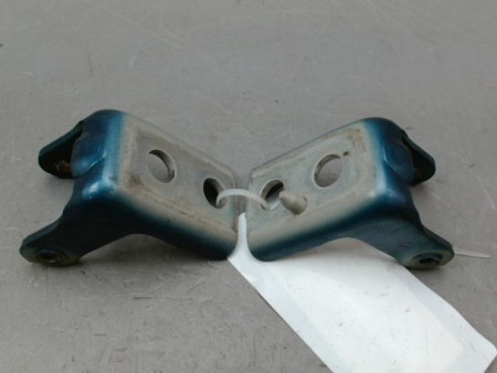 CHARNIÈRE PORTE AVD CITROEN C4 PICASSO 007-