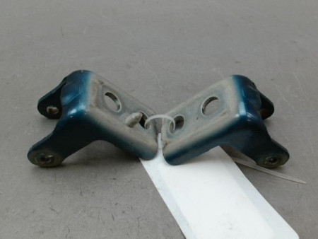CHARNIÈRE PORTE AVG CITROEN C4 PICASSO 007-