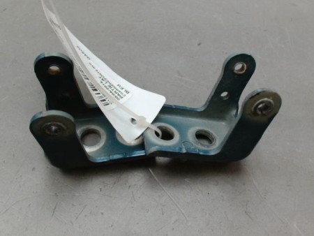 CHARNIÈRE PORTE AVG CITROEN C4 PICASSO 007-
